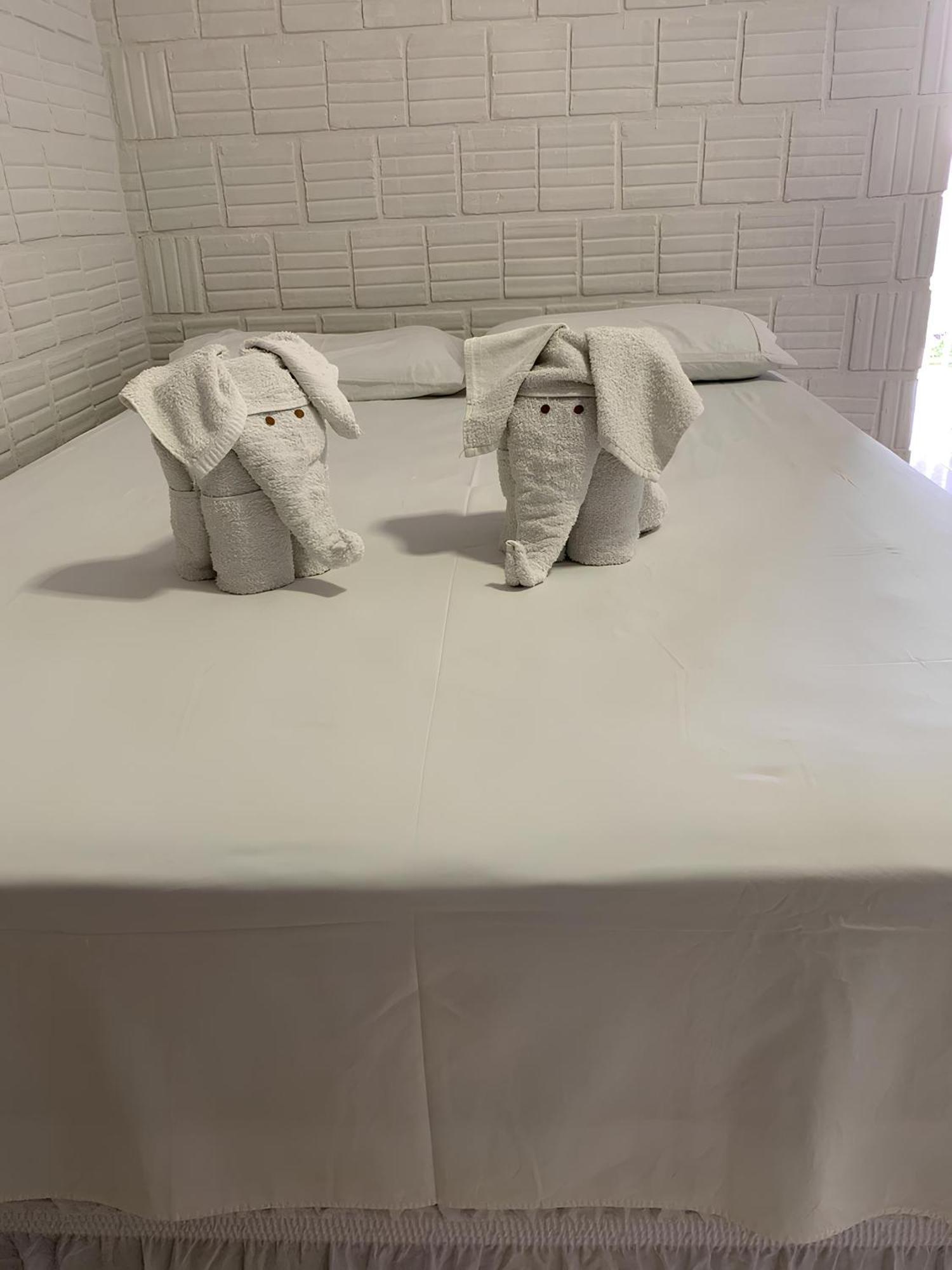 查莱公寓酒店 博尼图 外观 照片